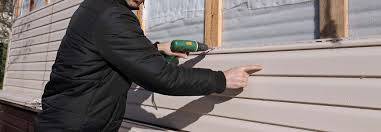 Best Vinyl Siding Installation  in Nevada, MO